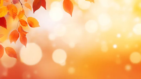 Oranje Gouden Herfstbladeren Zonlicht Met Mooie Bokeh Natuurlijke Herfstachtergrond — Stockfoto
