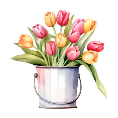 Renkli lalelerin suluboya çizimi