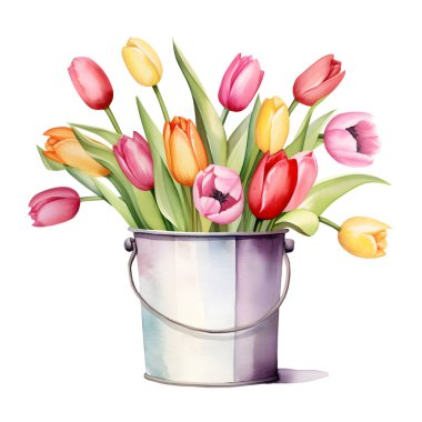 Renkli lalelerin suluboya çizimi