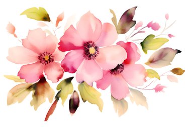 İzole edilmiş çiçeklerin suluboya çizimi