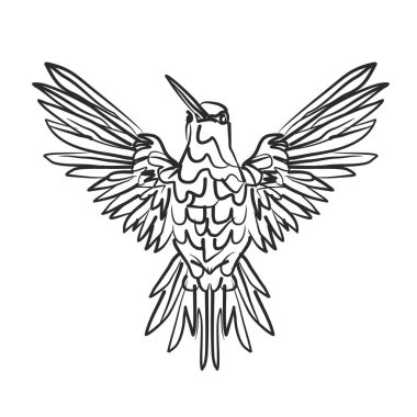 Beyaz üzerinde izole fırça aracı biçimi ile ön görünüm Hummingbird vektör ilüstrasyonu