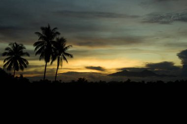 Hindistancevizi ağaçlarının ve dağların yatay görüntüsü doğada altın mavisi ve bulutlu gökyüzü