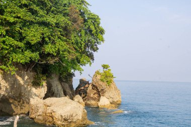 Kayalık sahil tepeleri ve ağaçlar kumsalın üzerinde yükselen negatif mavi gökyüzü
