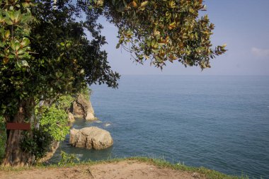 Lampung Sahili, Sumatra Endonezya 'nın kayalıklarının altındaki meyve ağacının önüne bakın.