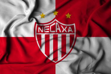 Pringsewu, Lampung 18 Ekim 2024 Futbol kulübü Necaxa liga MX 'in seçici odak noktası logosu arka planı. 3B illüstrasyon