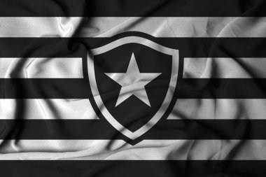 Pringsewu, lamba 30 Ekim 2024; Botafogo futbol kulübü, seçici odak logosu arka plan Brezilya Serie A Şampiyonası.