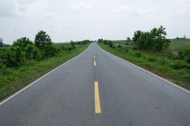 Sarı çizgileri ve park alanı olan asfalt yol, çimlerle çevrili boş asfalt yol.