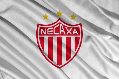 Pringsewu, lamba 10 Mart 2025; Arka plan Kulübü Necaxa futbol kulübü seçici odak logosu dokusu ligi MX, Meksika. 3B illüstrasyon