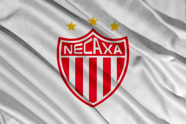 Pringsewu, lamba 10 Mart 2025; Arka plan Kulübü Necaxa futbol kulübü seçici odak logosu dokusu ligi MX, Meksika. 3B illüstrasyon