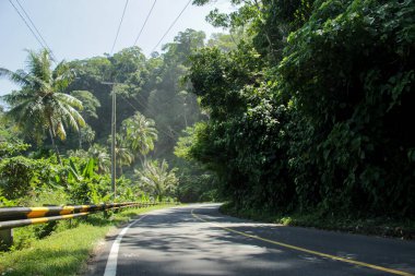 Yeşil Orman ile çevrili Tropikal ve dolambaçlı Trans-Sumatra Lampung Karayolu