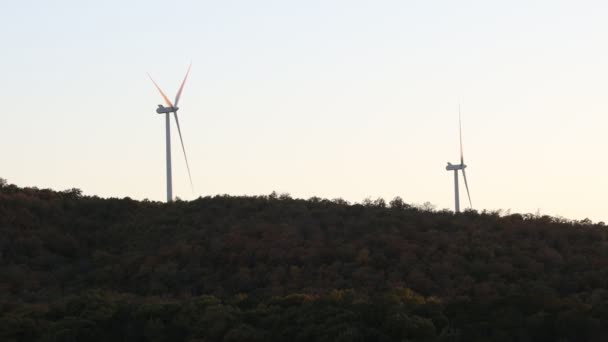 Windmolenparken Met Grote Bladen Tegen Achtergrond Van Avondlucht Het Bos — Stockvideo