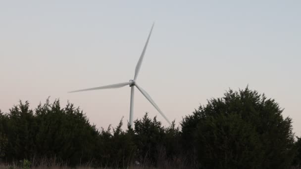 Windkraftanlagen Mit Großen Schaufeln Vor Dem Hintergrund Des Abendhimmels Wald — Stockvideo
