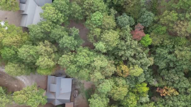 Vista Aérea Casas Nas Florestas Entre Árvores Verdes Cabanas Floresta — Vídeo de Stock