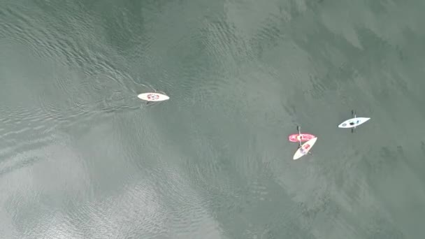 Αεροφωτογραφία Πάνω Προς Κάτω Του Αθλητισμού Κανό Κωπηλασία Στη Λίμνη — Αρχείο Βίντεο
