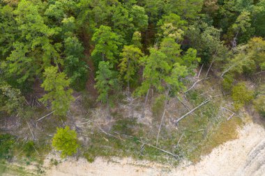 Broken Bow, Oklahoma, ABD 'de şelaleli derin orman manzarası. Düşen ağaçlarla, havadan manzaralı vahşi doğa.