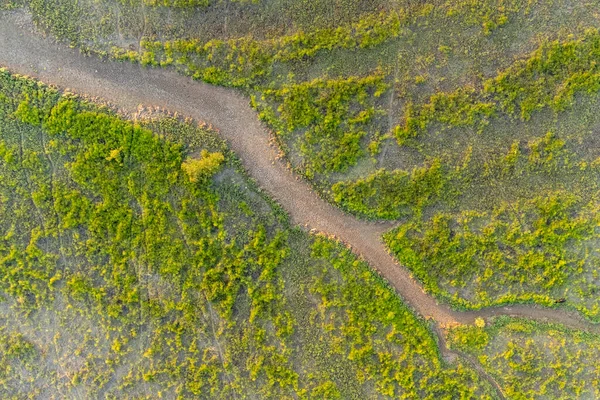 Horní Letecký Panoramatický Pohled Zelené Stepi Nebo Louky Létě Krajina — Stock fotografie