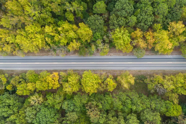 Aerial View Country Road Green Summer Forest Autumn Broken Bow — Stock Photo, Image
