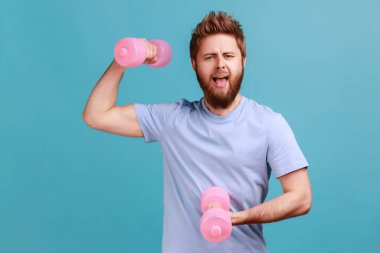 Heyecanlı yakışıklı sakallı adamın portresi elinde pembe dambıllar, kameraya bakıyor, spor salonunda pazı pompalıyor, eforla egzersiz yapıyor. Mavi arka planda kapalı stüdyo çekimi.