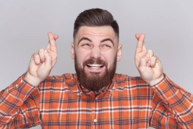 Dişlerini sıkan ve şans dileyen, kareli gömlek giyen komik, pozitif sakallı bir adamın portresi. Gri arka planda izole edilmiş kapalı stüdyo görüntüleri.