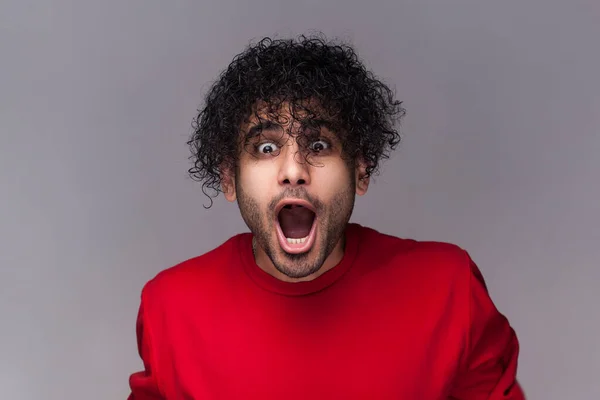 stock image Portrait of amazed astonished surprised bearded man with curly hair, looking at camera with big eyes and open mouth, wearing red jumper. Indoor studio shot isolated on gray background.