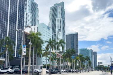 Miami, Florida - 25 Ağustos 2023 Miami şehir merkezi, kuleler ve yeşil palmiyeler.