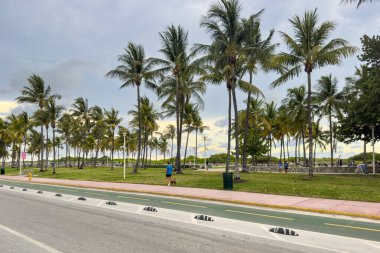 Miami, Florida - 25 Ağustos 2023: Güney Sahili, Miami, Florida 'da palmiye ağaçları olan Ocean Drive turistik yol manzarası.