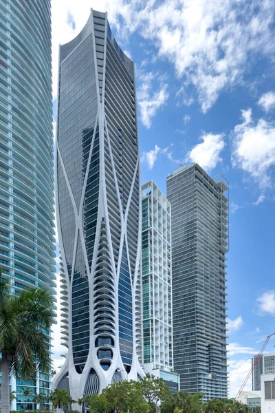 Miami Florida Agosto 2023 Downtown Paesaggio Urbano Torri Palme Verdi — Foto Stock