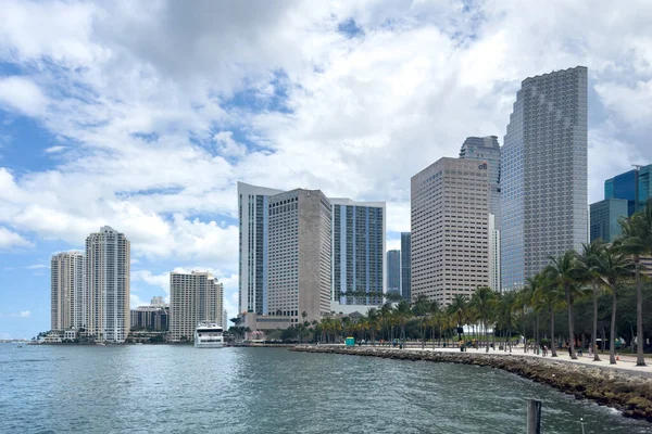 Miami Florida Elokuuta 2023 Miamin Kadut Joilla Suuri Trooppinen Kasvillisuus — kuvapankkivalokuva