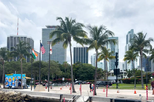 Маямі Флорида Серпня 2023 Дорога Високими Долонями Сучасними Будівлями Маямі — стокове фото