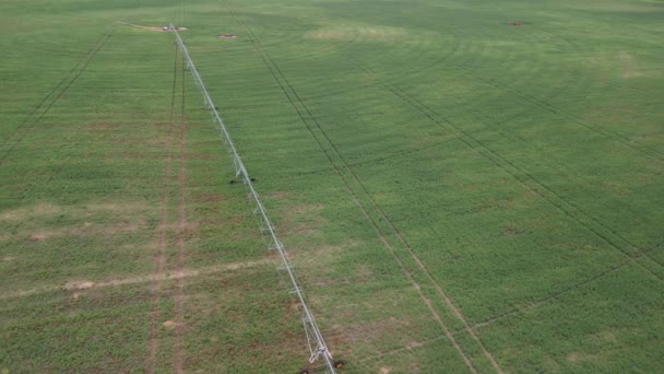 Vista Aérea Por Drone Campo Sendo Irrigado Por Sistema Irrigação — Vídeo de Stock