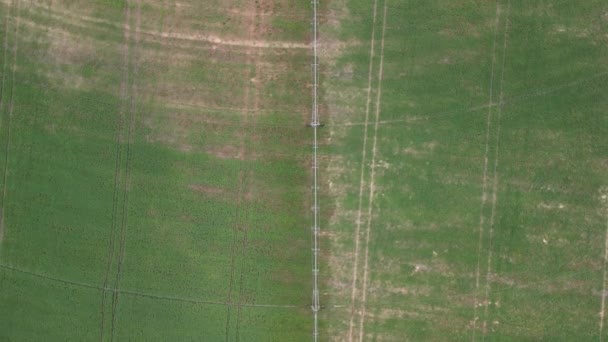 无人机对被巨大而强大的灌溉系统灌溉的田野的空中观察 免版税图库视频