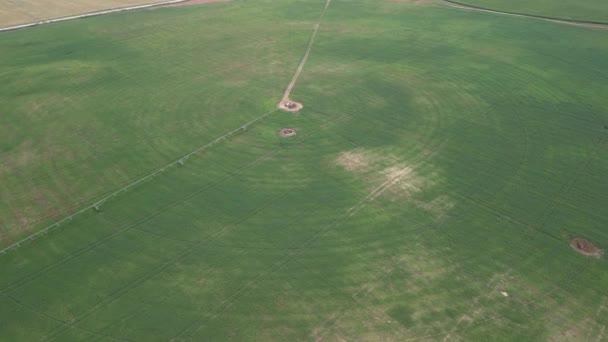 Αεροφωτογραφία Τηλεκατευθυνόμενο Πεδίο Που Ποτίζεται Από Ένα Γιγαντιαίο Και Ισχυρό Βίντεο Αρχείου