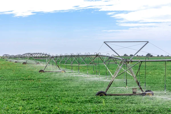 Field irrigation sprinkler system waters rows farmland on a partly cloudy day in spring.