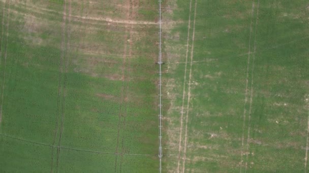 Vista Aérea Por Drone Campo Sendo Irrigado Por Sistema Irrigação Filmagem De Bancos De Imagens Sem Royalties
