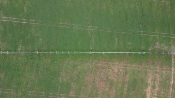 Luchtfoto Door Drone Van Het Veld Wordt Geïrrigeerd Door Een Rechtenvrije Stockvideo