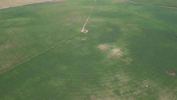 Αεροφωτογραφία Τηλεκατευθυνόμενο Πεδίο Που Ποτίζεται Από Ένα Γιγαντιαίο Και Ισχυρό Βίντεο Κλιπ