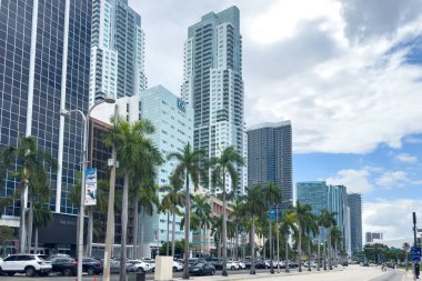 Miami, Florida - 25 Ağustos 2023 Miami şehir merkezi, kuleler ve yeşil palmiyeler.