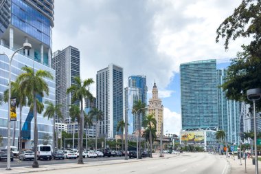 Miami, Florida - 25 Ağustos 2023 Miami şehir merkezi, kuleler ve yeşil palmiyeler.