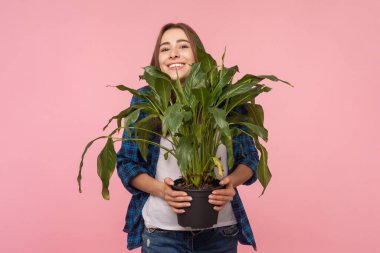 Kocaman güzel bir çiçek tutan kahverengi saçlı kadının portresi çiçeklerle uğraşmayı sever, kareli gömlek giyer. Pembe arka planda kapalı stüdyo çekimleri.