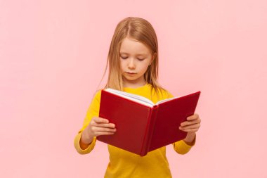Elinde kitap tutan, ilginç bir hikaye ya da peri masalı okuyan, sarı kazak giyen ciddi şekilde konsantre olmuş küçük kızın portresi. Pembe arka planda kapalı stüdyo çekimleri.