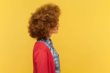 Afro saç stili olan ciddi bir kadının yan görünüş portresi. Önüne bakıyor, bir şeye bakıyor, mekanı kopyalıyor. Sarı arka planda kapalı stüdyo çekimleri.