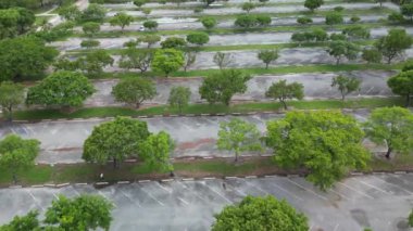 Otopark tasarımının gerçek görünümü asfalt üzerinde yeşil ağaçlarla beyaz işaretler içerir.