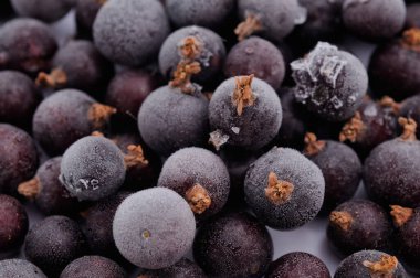 Donmuş kara frenk üzümü, beyaz arka planda izole edilmiş..