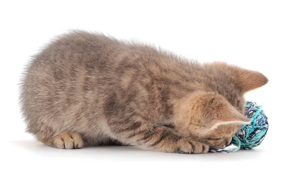 Stock image Little kitten playing with a ball of yarn isolated on white background.