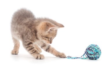 Beyaz arka planda izole edilmiş iplik yumağıyla kedi yavrusu. 