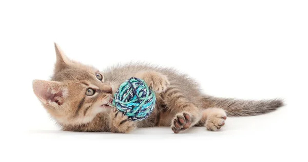 stock image Kitten with ball of yarn isolated on white background. 