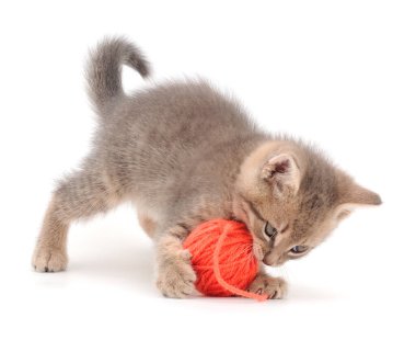 Küçük kedi yavrusu beyaz arka planda izole edilmiş bir iplik yumağıyla oynuyor..