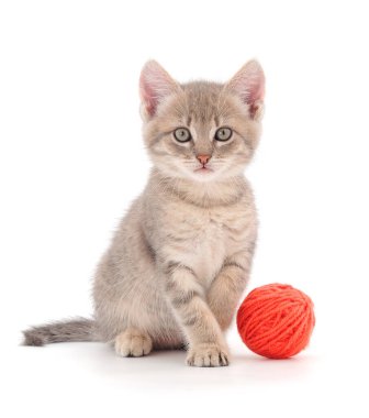 Küçük kedi yavrusu beyaz arka planda izole edilmiş bir iplik yumağıyla oynuyor..