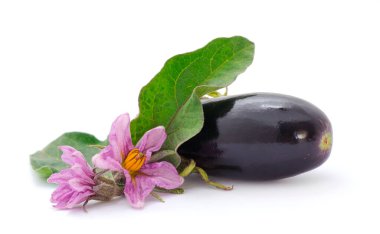 Beyaz arka planda çiçekli patlıcan meyvesi