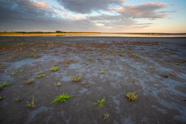 La Pampa, Patagonya, Arjantin 'deki kuru bir lagünde çöl toprağı..